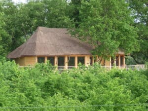 séminaire nature dans les arbres