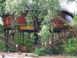 Salle dasn les arbres est idéale pour les séminaires de moins de 50 personnes